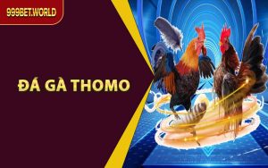Mẹo Cá Cược - 999bet - GUJOPA