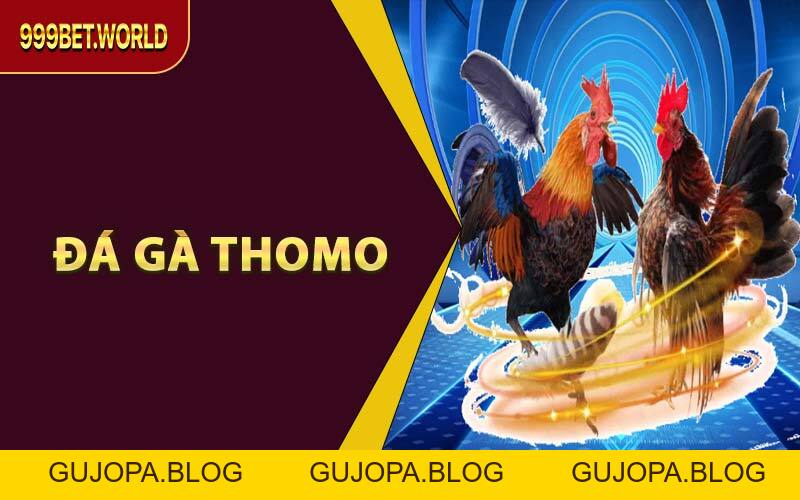Xem & Cược Đá Gà Thomo Trực Tuyến – Trọn Vẹn Tại 999BET - GUJOPA