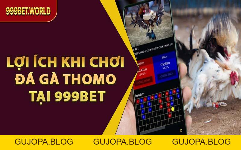 Xem & Cược Đá Gà Thomo Trực Tuyến – Trọn Vẹn Tại 999BET - GUJOPA