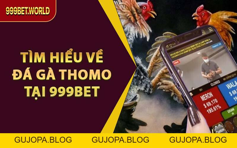 Xem & Cược Đá Gà Thomo Trực Tuyến – Trọn Vẹn Tại 999BET - GUJOPA